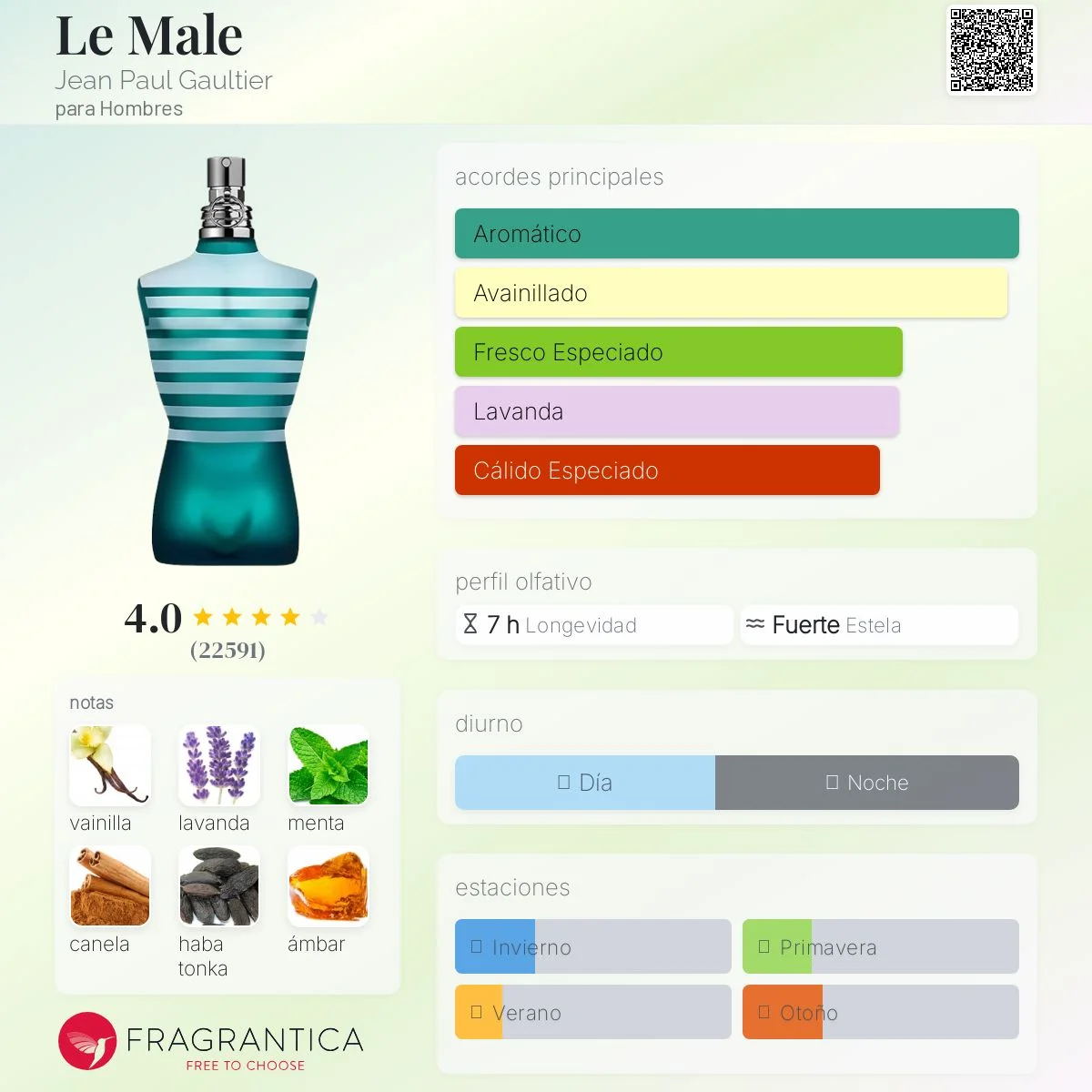 Le Male vista 2