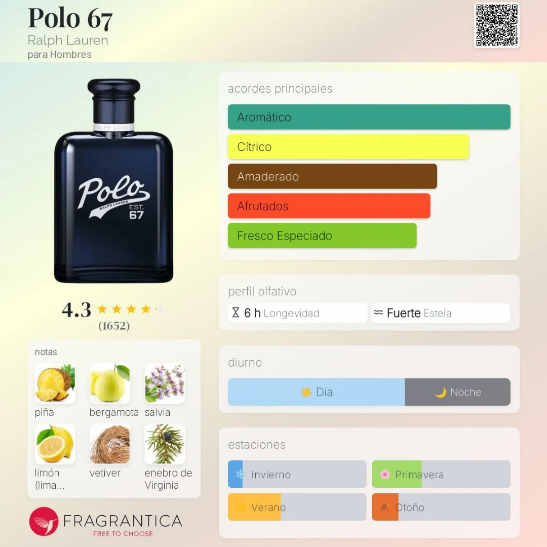 Polo 67 vista 2